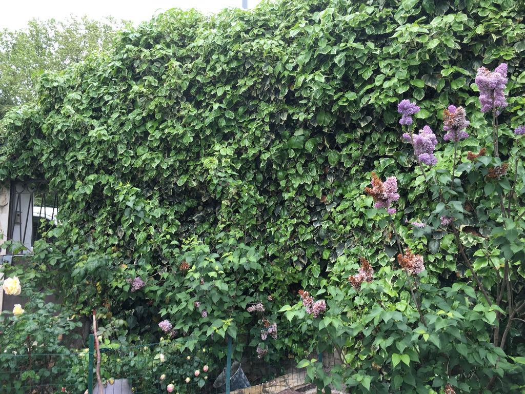 Portail Du Ventoux Central Luxe Jardin Linge Fourni Malaucène Εξωτερικό φωτογραφία